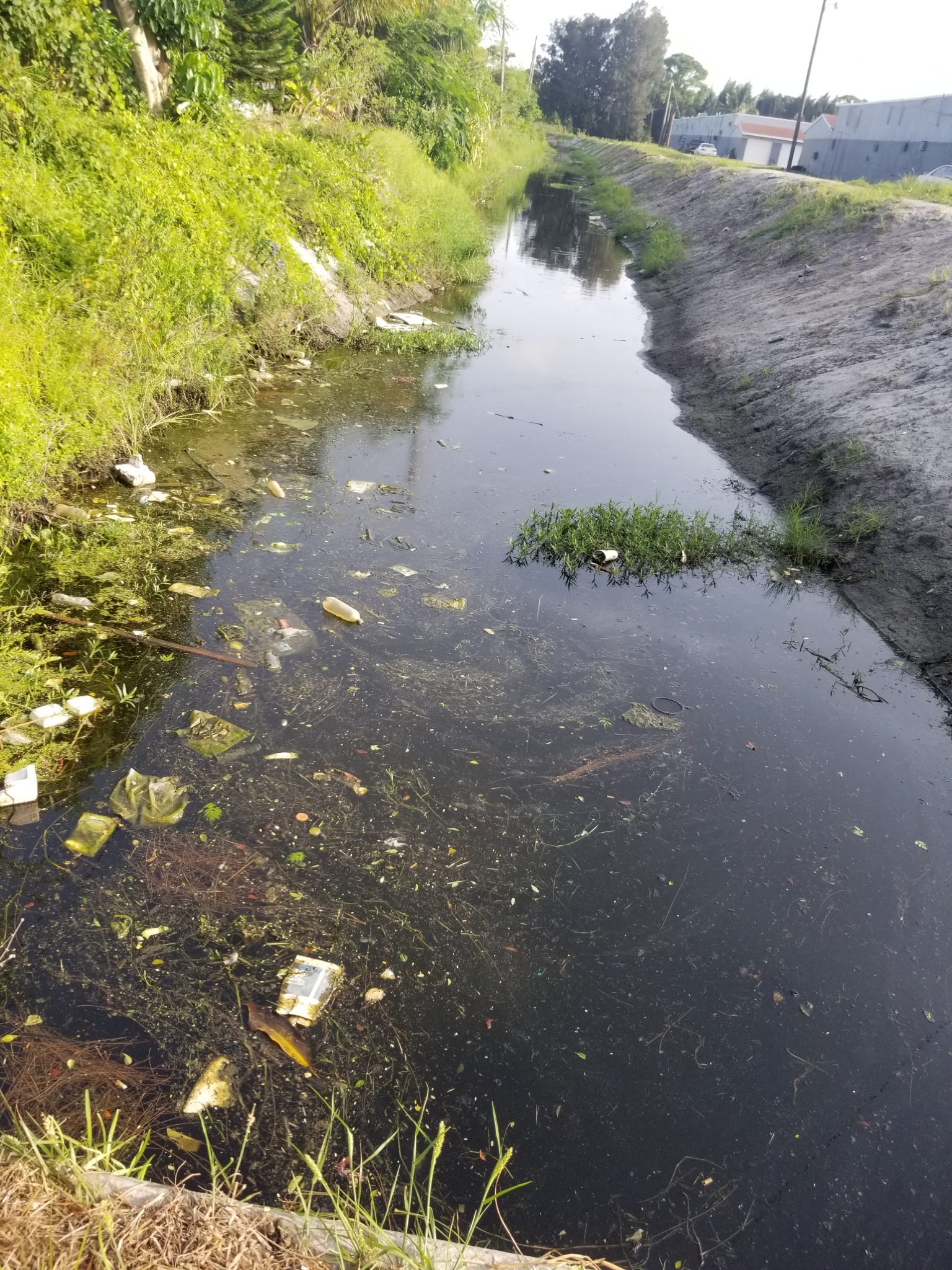 Pollution Is Threatening Our Aquatic Ecosystems | The Kraken Post